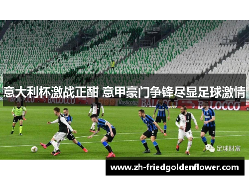意大利杯激战正酣 意甲豪门争锋尽显足球激情